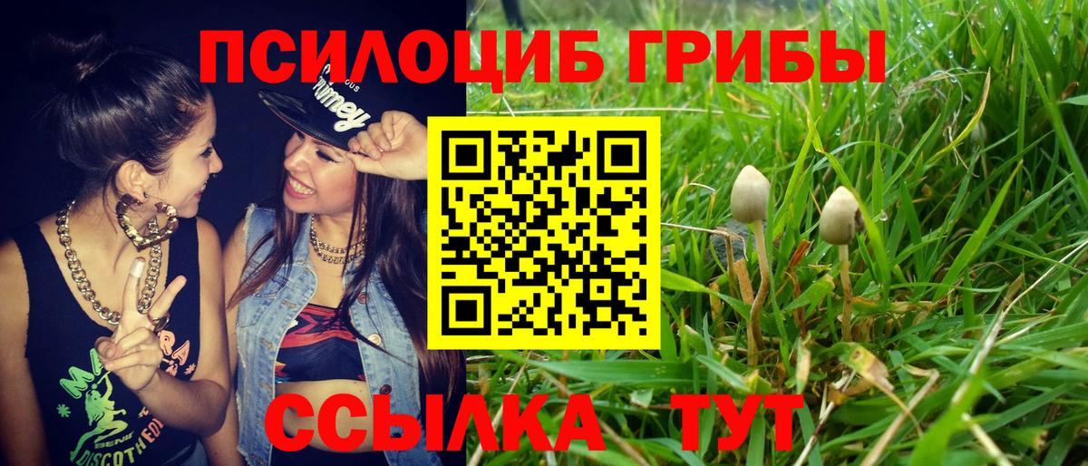 Псилоцибиновые грибы мухоморы Новокубанск