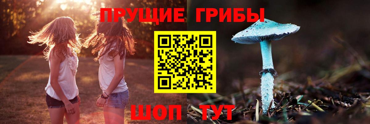 Новокубанск  Псилоцибиновые грибы Magic Shrooms  Галлюциногенные грибы MAGIC MUSHROOMS  Вход с VPN 